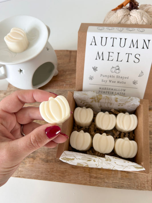 Pumpkin Shaped Wax Melts - 6 Per Pack - Soy Wax